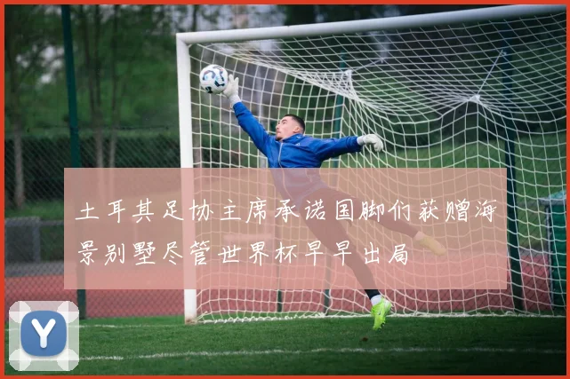 土耳其足协主席承诺国脚们获赠海景别墅尽管世界杯早早出局