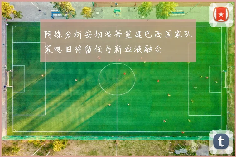 阿媒分析安切洛蒂重建巴西国家队策略旧将留任与新血液融合